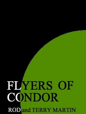 cover image of Flyers of Condor